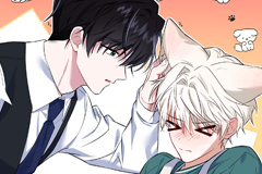 The Fox's Love Refresher