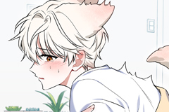 The Fox's Love Refresher