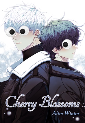 Cherry Blossoms After Winter