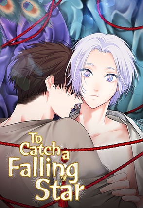 To Catch a Falling Star