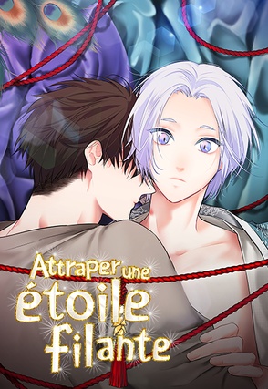 Attraper une étoile filante